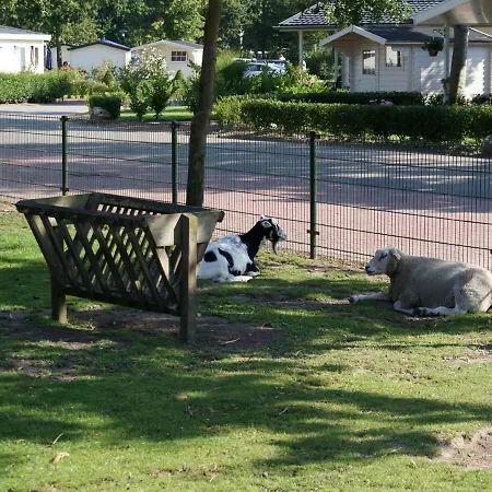 Σπίτι διακοπών Holiday Droompark Molengroet.53